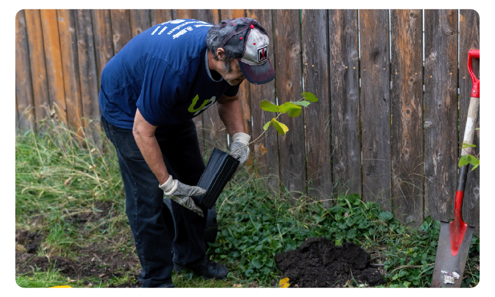 Man planting a starter tree