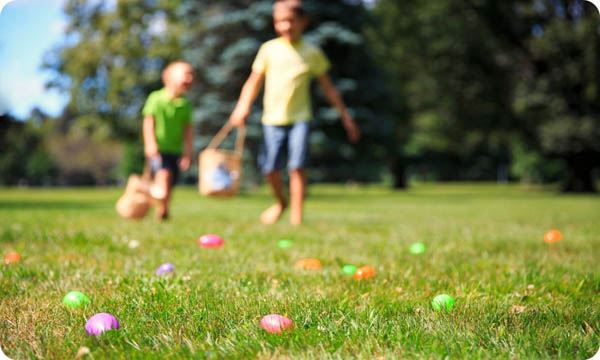 Kids Have Fun While Searching for Eggs Outdoors