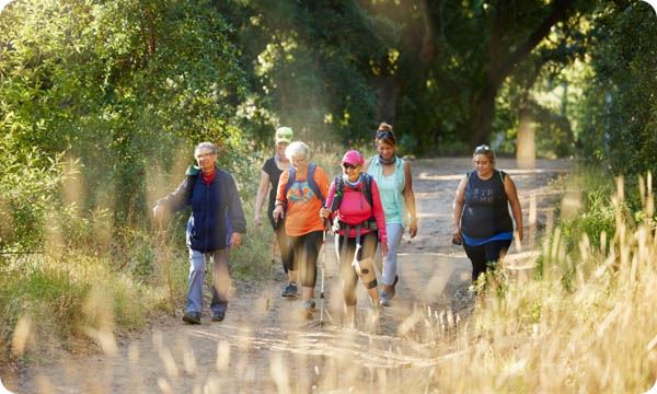 Nature, Walking and Senior Group Hiking in Forest for Exercise,